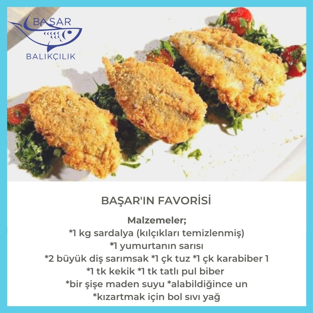 Başar'ın Favorisi